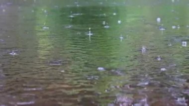 Yağmur damlaları yazın kabarcıklarla nehir yüzeyine düşer. Yeşil su doku dalgalanmaları, soyut. Şiddetli bir yağmur sırasında yeşil bir göletin ya da gölün su yüzeyi. Doğa arka planı, sükunet sahnesi