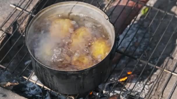 土豆是在自然界篝火的锅里用水煮的 许多小土豆都是在自制的炉子上的明火上 用开水煮沸的 在森林里露营时做饭 — 图库视频影像
