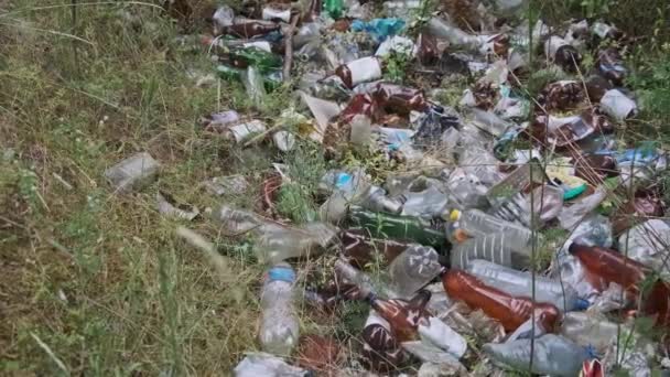 Απορρίμματα Πλαστικών Και Μπουκαλιών Στο Δάσος Σωρός Συνθετικών Αποβλήτων Στη — Αρχείο Βίντεο