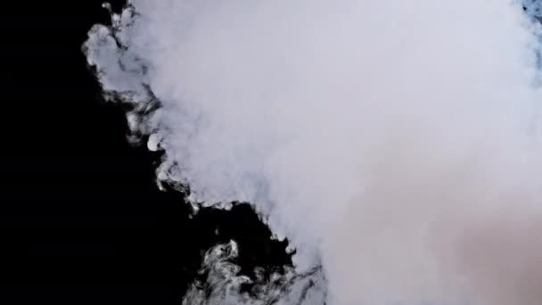 アルファチャンネルで煙や蒸発雲がスローモーションで上昇する 空中に浮かぶ蒸気の白い霧 実際の大気効果 煙の質の抽象的な粒子 透明な背景 — ストック動画