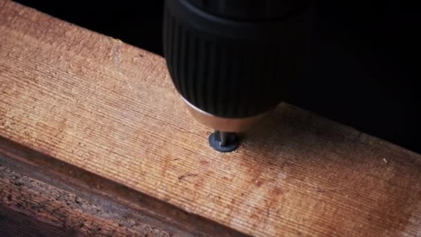 Nahaufnahme Einer Schraube Von Einem Holzbrett Mit Einem Schraubenzieher Kopierraum — Stockvideo