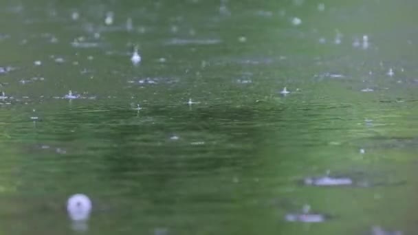 夏天雨滴带着气泡落在河面上 绿水的纹波质感 在大雨中 绿色池塘或湖泊的水面 大自然的背景 宁静的景象 — 图库视频影像