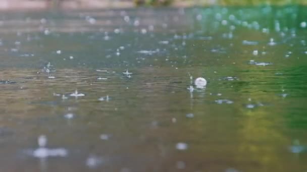 Rain Drops Fall River Surface Bubbles Summer Slow Motion Green Royalty Free Stock Footage