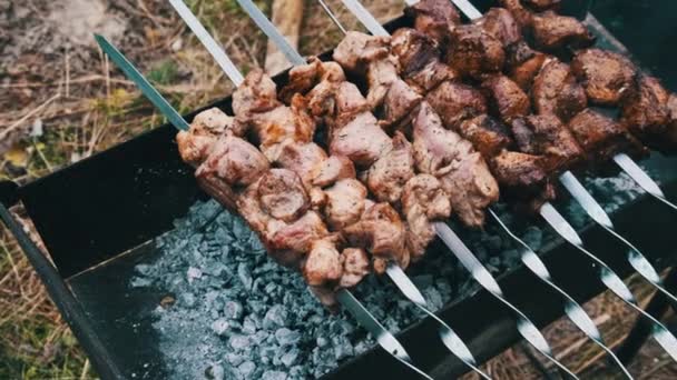 Shish Kebab Nyársra Főtt Grill Természetben Szabadban Pörkölt Szaftos Sertéshúst — Stock videók
