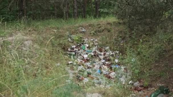 森のピットにプラスチックとボトルの違法なゴミ捨て場 自然界における合成廃棄物の山 森の中にはさまざまなゴミがある ゴミは人によって地面に投げ捨てられた エコロジカル災害 — ストック動画