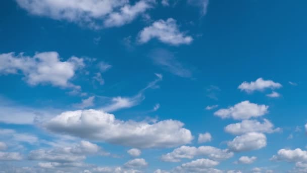 柔和的白色积云在蓝天中移动的时间 在多云的空间里 淡淡的云彩的背景会改变形状 自然背景 时间差 复制空间 — 图库视频影像