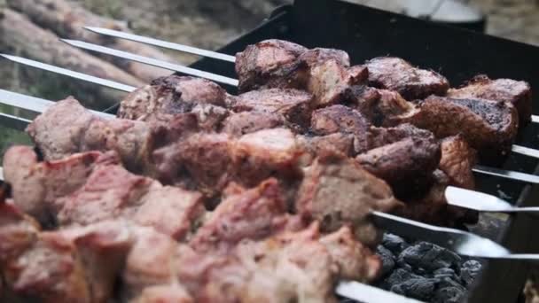 Shish Kebaby Szaszłyki Gotowane Grillu Przyrodzie Świeżym Powietrzu Pieczone Soczyste — Wideo stockowe