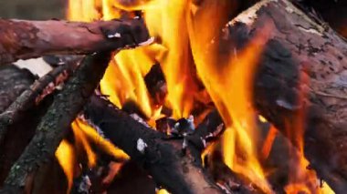 Kamp ateşi akşamları doğada yavaş çekimde yanar. Açık havada yanan ağaç kütükleri ve kıvılcımları olan sarı şenlik ateşi. Çam ağacı ateşi ve parlayan kömür. Bir orman yangınının arka planı.