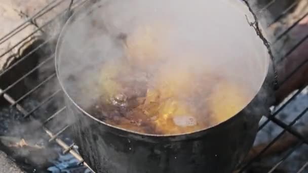 Las Patatas Cocinan Agua Una Olla Una Fogata Naturaleza Muchas — Vídeo de stock