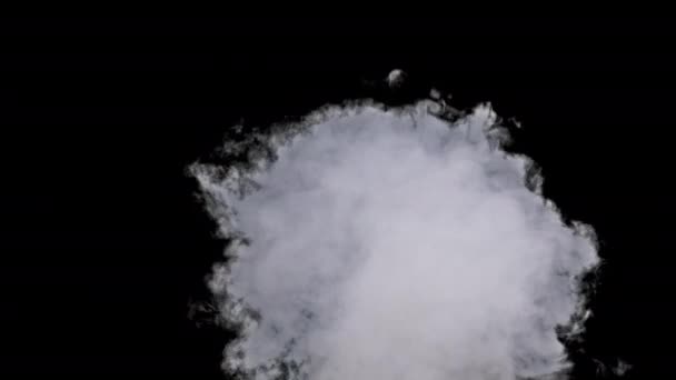 Yavaş Çekimde Alfa Kanallı Beyaz Duman Patlama Buharı Duman Bulutları — Stok video