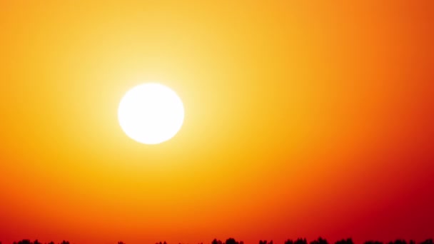 明るいオレンジ色の空に降り立つタイムラプスの素晴らしい夕日 大気中のハローで明るい太陽が地平線の上に沈んでいる エピック 鮮やかな色 タイムラップス 美しい日没 — ストック動画