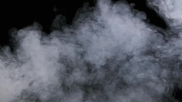 Дим Або Парні Хмари Піднімаються Чорному Тлі Повільному Русі Білий — стокове відео