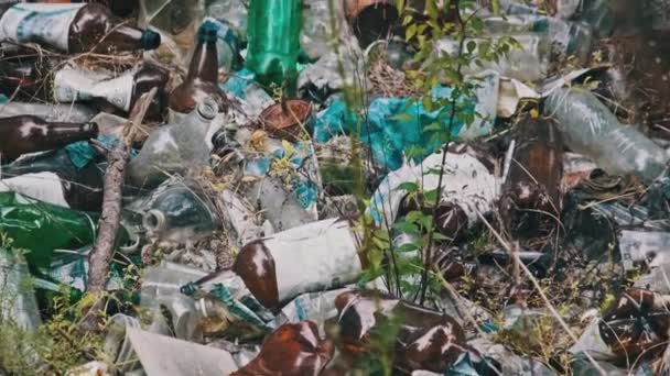 Незаконная Свалка Пластика Бутылок Лесной Яме Загрязнение Лесов Человеком Куча — стоковое видео