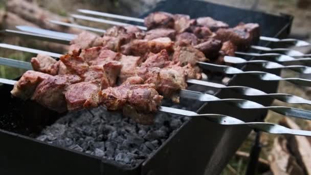 Shashlik Skewers Cooked Bbq Nature Outdoors Roasted Juicy Pork Meat — Stock Video