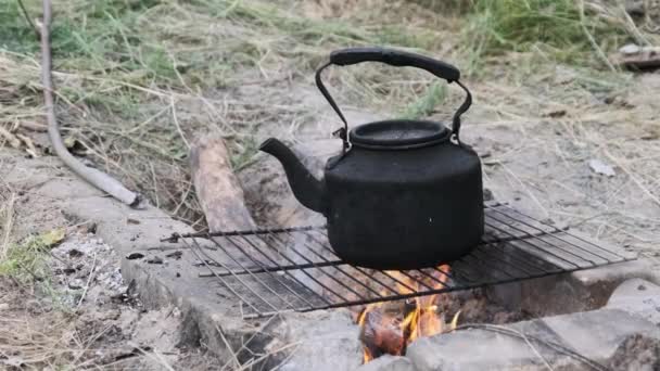 自然の中で観光客のキャンプファイヤーに立っている古いケトル スモークされたティーポットで黒く染められ 地面に石で作られた自作の観光用ストーブの上に沸騰しています オープンファイヤーでお茶を作る — ストック動画