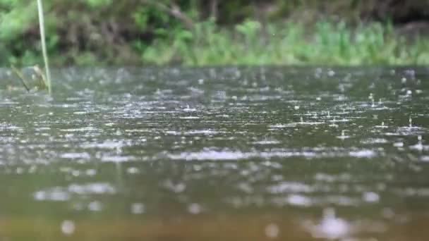 Σταγόνες Βροχής Πέφτουν Στην Επιφάνεια Του Ποταμού Φυσαλίδες Καλοκαίρι Αργή — Αρχείο Βίντεο
