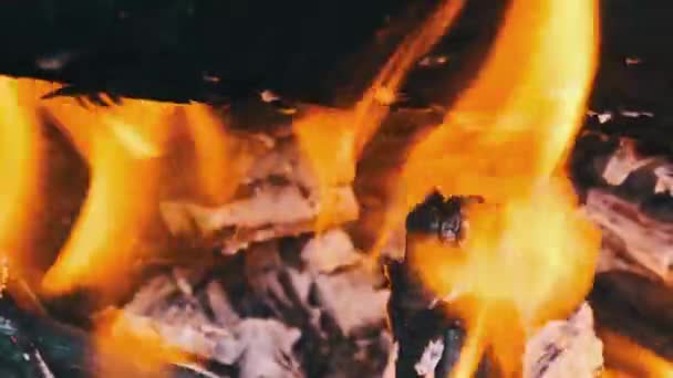 キャンプファイヤーは夜の屋外でスローモーションでクローズアップを燃やします イエローボンファイアは 燃える木のログと火花で炎を燃やします パイン ファイヤーと光る炭 森林火災の背景について — ストック動画