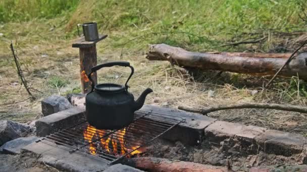 주전자 오래된 빈티지 주전자 스토브 숲에서 불꽃에 만들기 클로즈업 — 비디오