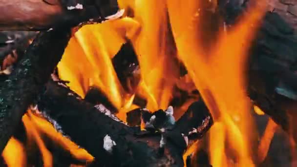 Campfire Burns Close Evening Outdoors Slow Motion Yellow Bonfire Flames — Stock Video