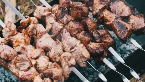 Shish Kebab Nyárson Főtt Grill Természetben Szabadban Pörkölt Szaftos Sertéshúst — Stock videók