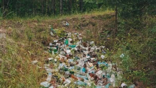 Πολλά Σκουπίδια Πετάχτηκαν Στο Πράσινο Δάσος Παράνομη Χωματερή Μπουκαλιών Και — Αρχείο Βίντεο