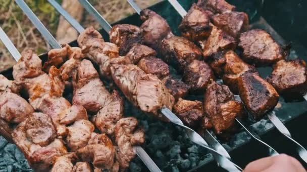Tampoanele Shish Frigarui Sunt Gătite Grătar Natură Aer Liber Carnea — Videoclip de stoc