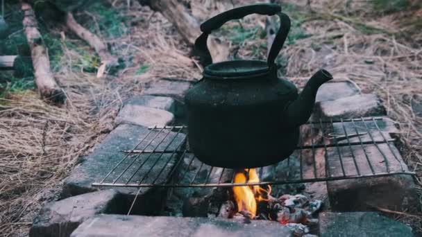 Alter Wasserkocher Der Auf Einem Lagerfeuer Der Natur Steht Rußgeschwärzt — Stockvideo