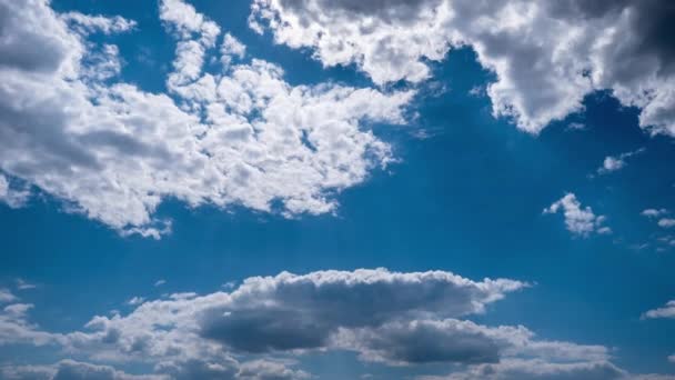 Timelapse Nubes Cúmulos Mueven Cielo Azul Fondo Nubes Blancas Grises — Vídeos de Stock