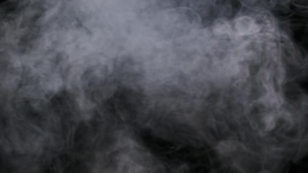 Nori Fum Sau Vapori Fundal Negru Mișcare Lentă Aburul Alb — Videoclip de stoc