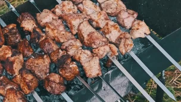 Shish Kebab Spiedini Sono Cucinati Sulla Griglia Natura All Aperto — Video Stock