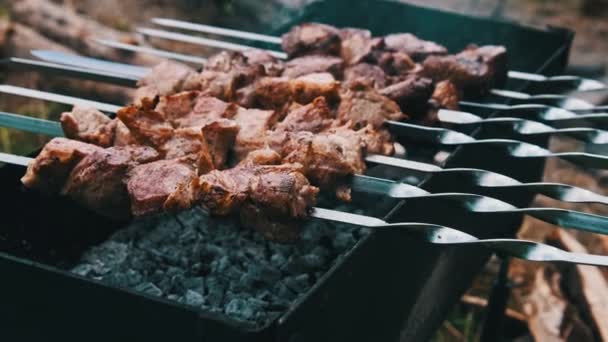 Kebab Shish Pada Tusuk Sate Dimasak Pada Bbq Alam Luar — Stok Video