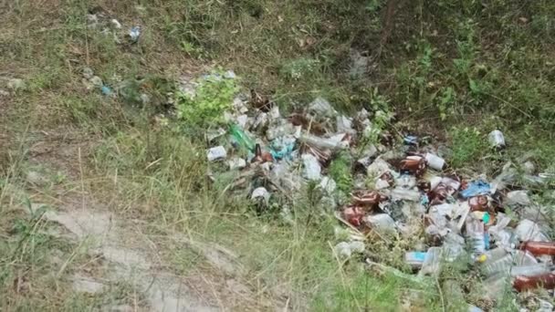 Odpad Plastu Lahví Lese Hromada Syntetického Odpadu Přírodě Znečištění Lesů — Stock video