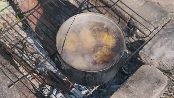 Ziemniak Gotuję Się Woda Doniczka Ognisko Przyroda Wiele Młodych Ziemniaków — Wideo stockowe
