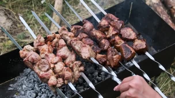Shish Kebab Spiesjes Worden Gekookt Bbq Natuur Buiten Geroosterd Varkensvlees — Stockvideo