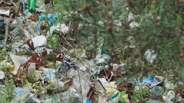 森の中のプラスチックとボトルのゴミ捨て場 自然界の合成廃棄物の山 森林の人間の汚染 地面に不法なゴミ捨て場がある 森林地帯の屋外に捨てられたゴミの多く — ストック動画