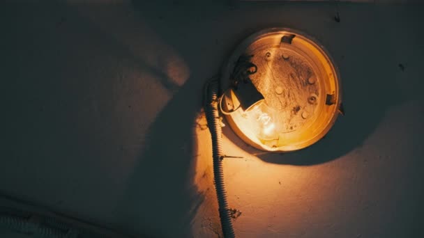 白熱電球は コンクリート壁の古い壊れたランプで成長します 家の中に危険な配線で照明を構築します 階段ウェルにクモの巣を持つ古いタングステン球 — ストック動画