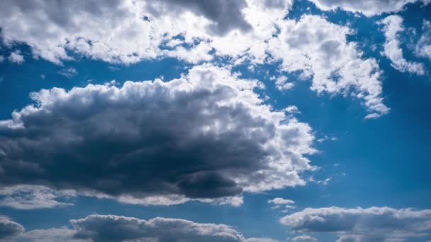 Timelapse Cumulus Moln Rör Sig Den Blå Himlen Bakgrunden Till — Stockvideo