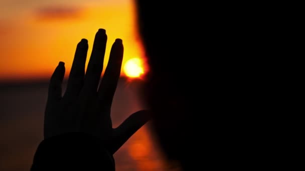 Silhouette Ręka Młodej Dziewczyny Rozciąga Się Zachodu Słońca Zwolniony Ruch — Wideo stockowe