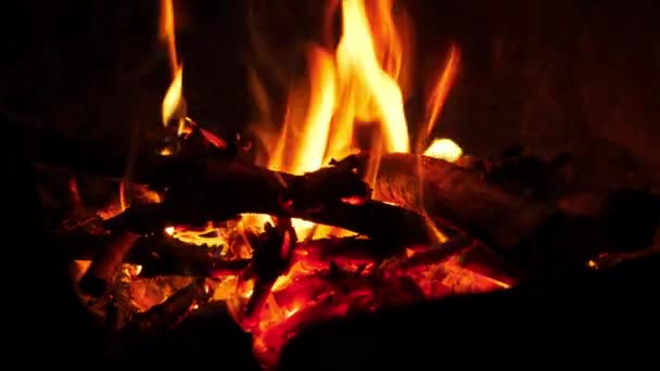 캠프파이어는 슬로우 모션으로 클로즈업을 점화합니다 자연에서 불타는 로그와 야외와 소나무 — 비디오
