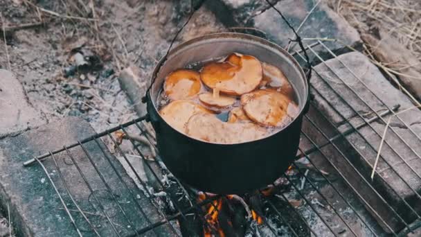 Many Chanterelles Mushrooms Cooked Pot Campfire Mushrooms Boiled Water Open — Stock Video