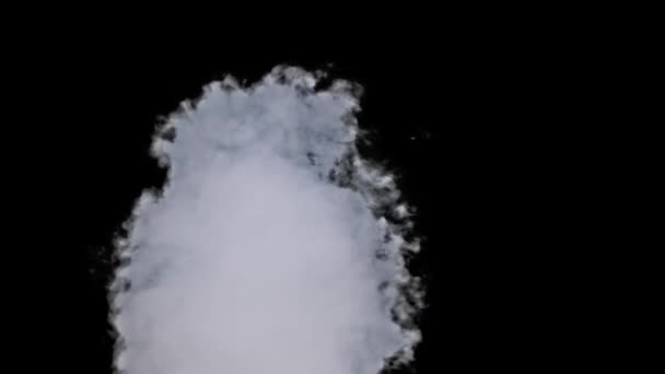Дим Альфа Каналом Повільному Русі Вибуховий Пар Справжня Хмара Білого — стокове відео