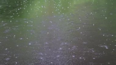 Yağmur damlaları yaz aylarında kabarcıklarla nehir yüzeyine düşer, Yavaş Hareket. Yeşil su dalgalanma dokusu. Şiddetli bir yağmur sırasında yeşil bir göletin ya da gölün su yüzeyi. Doğa arka planı, sükunet sahnesi