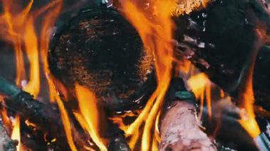 Kamp ateşi akşam vakti açık havada yavaş çekimde yanar. Yanan ağaç kütükleri ve kıvılcımları olan sarı şenlik ateşi. Çam ağacı ateşi ve parlayan kömür. Bir orman yangınının arka planı.