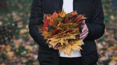 Parktaki çimlerde sonbahar akçaağaç yaprakları toplayan genç bir kadın. Dişi eller ekim günü bir buket sarı ve turuncu yaprak topluyor. Sonbahar parkında yürü. Yakın plan. Yavaş çekim.