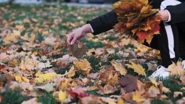 年轻女子在公园的草坪上采摘秋天的枫叶 十月的一天 雌性手收集一束黄色和橙色落叶 走在秋天的公园里 慢动作 — 图库视频影像