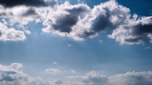 积雨云的时间在蓝天中移动 轻而厚重的云彩背景在多云的空间中形成了不同的形状 自然背景 时间差 复制空间 — 图库视频影像