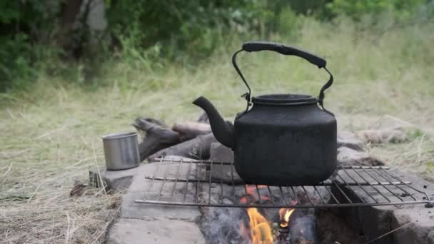 자연에서 파이어에 주전자 찻주전자와 칠해진 스토브 끓고있다 만들기 — 비디오