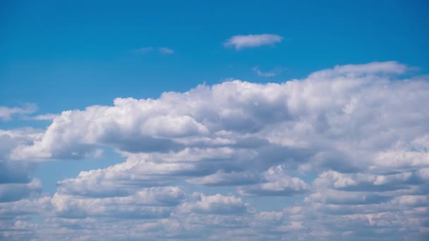 Μαλακό Λευκό Πυκνό Σύννεφο Κινείται Αργά Στον Γαλάζιο Ουρανό Timelapse — Αρχείο Βίντεο
