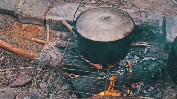 Μαγειρεύοντας Φαγητό Νερό Μια Κατσαρόλα Μια Φωτιά Στη Φύση Πεζοπορία — Αρχείο Βίντεο
