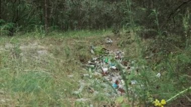 Orman çukurunda yasadışı plastik ve şişe çöplüğü. Doğada sentetik atık yığını. Ormanda bir sürü çöp var. İnsanlar tarafından yere atılan ıvır zıvırlar. Ekolojik felaket